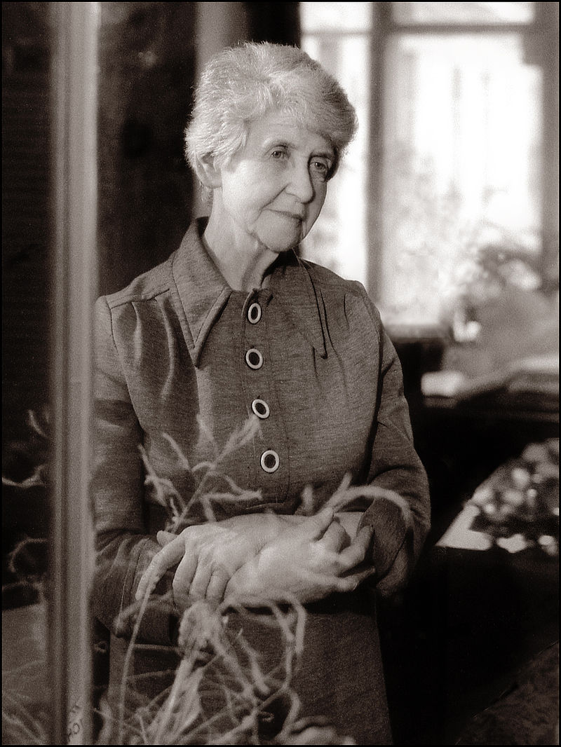 Marina Tolmacheva, In Memoriam: Anna Dolinina (1923–2017), Review of Middle East Studies, 51(2), 2017, pp. 339–340.