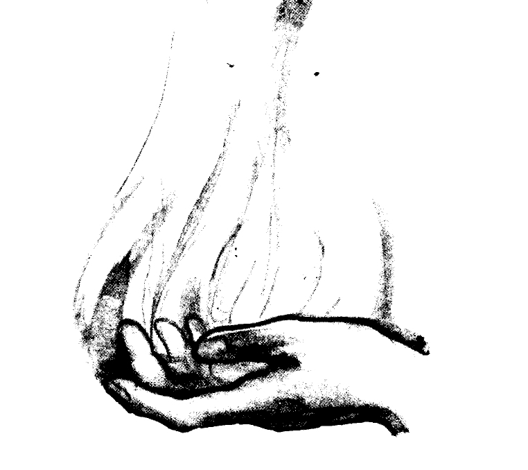 Al-Shu'lah al-Zarqa': Rasa'il Jubran Khalil Jubran ila Mayy Ziyadah [Blue Flame: Letters of Kahlil Gibran to Mayy Ziyadah], Edited by Salma al-Haffar al-Kuzbari and Suheil B. Bushrui, Beirut: Mu'assasat Nawfal, 1984.